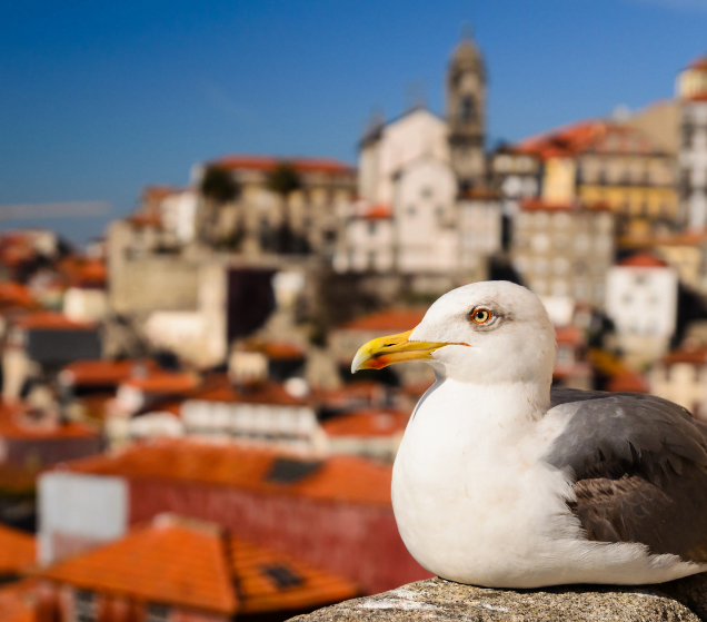 Lisbon