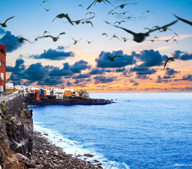 LES ILES CANARIES