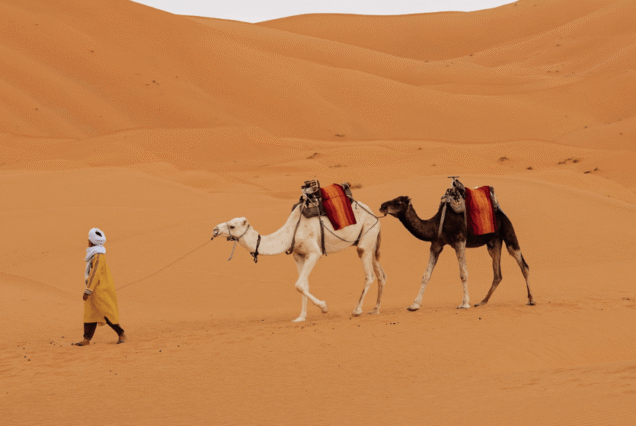 2 nuits/3 jours depuis Merzouga