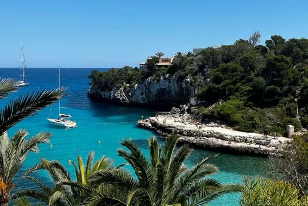 PALMA